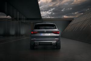 Cupra Ateca 2020 года  (WW)